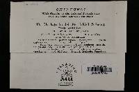 Ustilago hordei image