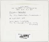 Image Associated With the Occurrence