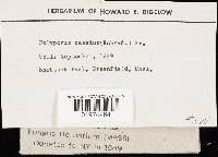 Thumbnail image of current specimen