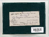 Image Associated With the Occurrence