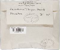 Image Associated With the Occurrence