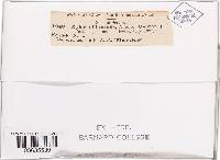 Image Associated With the Occurrence