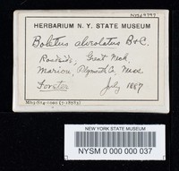 Image Associated With the Occurrence