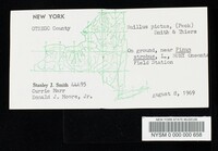 Suillus pictus image