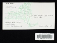 Tylopilus porphyrosporus image