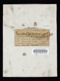 Agaricus silvicola image