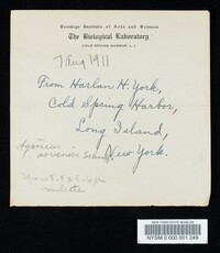 Agaricus arvensis image