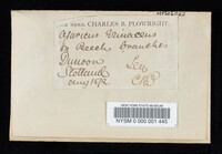 Image Associated With the Occurrence