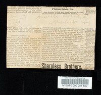 Amanita excelsa image