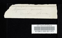 Thumbnail image of current specimen