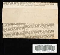 Collybia conigena image