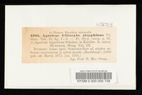 Image Associated With the Occurrence