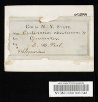 Image Associated With the Occurrence