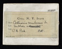 Image Associated With the Occurrence