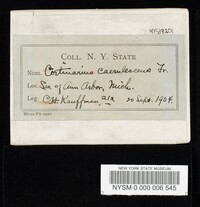 Image Associated With the Occurrence