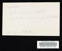 Psilocybe coprophila image