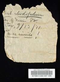 Entoloma rhodopolium image