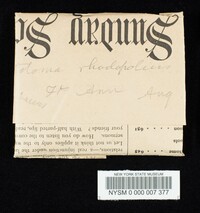 Entoloma rhodopolium image