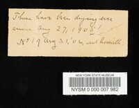 Humidicutis marginata image