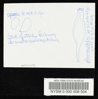 Inocybe geophylla image