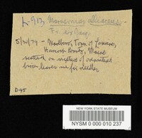 Image Associated With the Occurrence