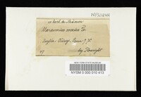 Image Associated With the Occurrence