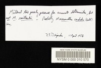 Thumbnail image of current specimen