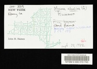 Mycena alcalina image