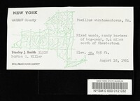 Tapinella atrotomentosa image