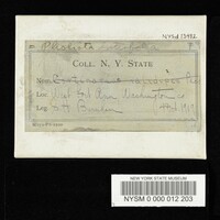 Media resource of Pholiota luteofolius