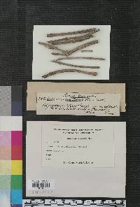 Image Associated With the Occurrence