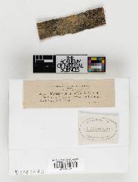 Image Associated With the Occurrence