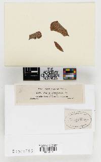 Image Associated With the Occurrence