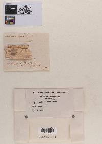 Image Associated With the Occurrence