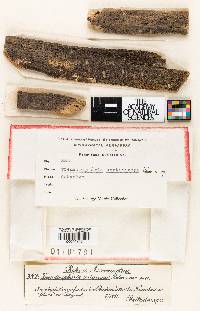 Image Associated With the Occurrence