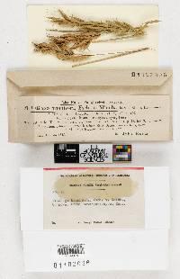 Image Associated With the Occurrence