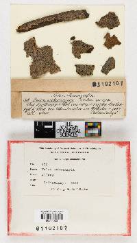 Image Associated With the Occurrence