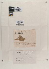 Image Associated With the Occurrence