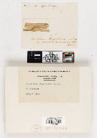 Image Associated With the Occurrence