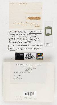 Image Associated With the Occurrence