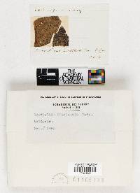 Image Associated With the Occurrence