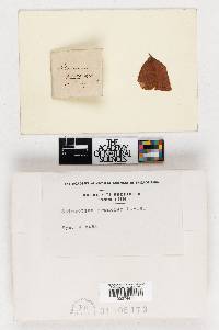 Image Associated With the Occurrence