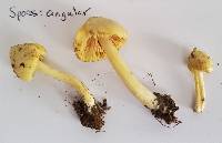 Image Associated With the Occurrence