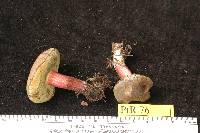 Image Associated With the Occurrence