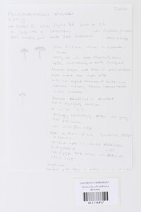 Image Associated With the Occurrence