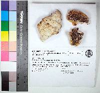 Image Associated With the Occurrence