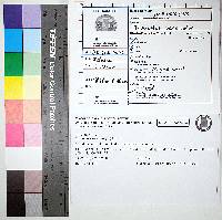 Image Associated With the Occurrence