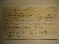 Thumbnail image of current specimen